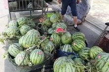 潮州网红吃瓜事件,一场网络舆论的发酵与反思