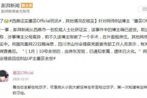 b站娱乐圈吃瓜,b站吃瓜指南，揭秘明星幕后故事